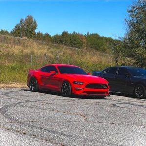 Meet your Posher, Zachary